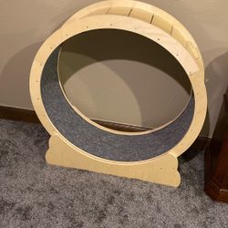 Cat Wheel
