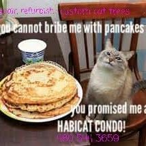 Cat tree. Cat tower. Cat scratcher. Cat bed. Cat condo. Cat postHand crafted localy with high quality materials here in gilbert. Not that mail order j