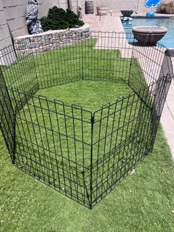 Dog fence