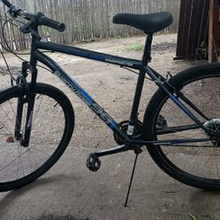 Unisex 29 'Inch Roadmaster 