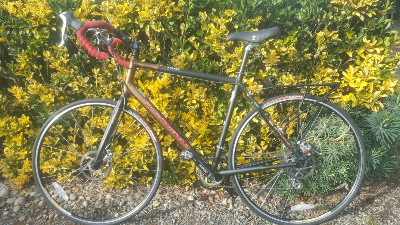 Schwinn Super Sport DBX