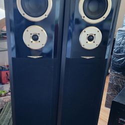Dtech DT-300W Speaker Set