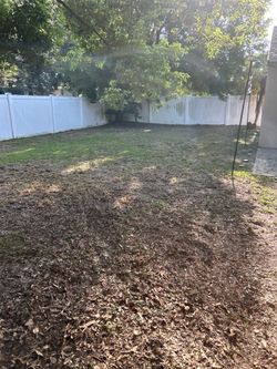 Lawn care