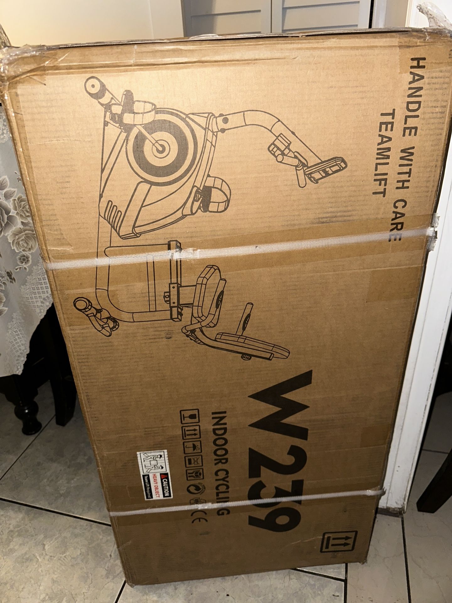 Recumbent Exercise Bike