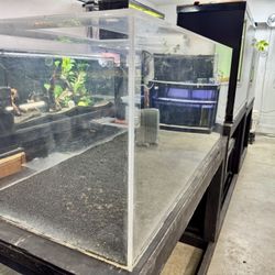 120 Gallon Acrylic Fish Tank with Stand
