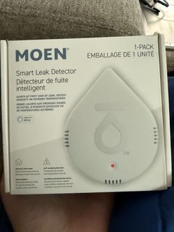 Leak detector