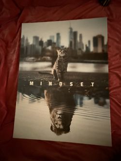 Canvas Art (mindset Cat)