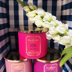 $15 Each candle From bath And Body Works It’s 3 Wicks Each Of The Can It’s All Brand New Please  Click The Picture For The Other Scents
