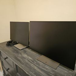2x 24" Computer Monitors