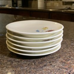 6 bread and butter plates Franciscan Autumn