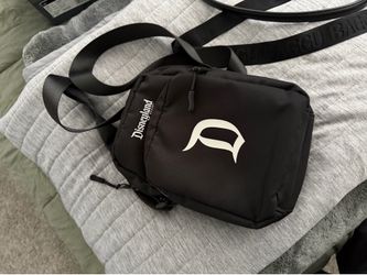 disneyland crossbody bag
