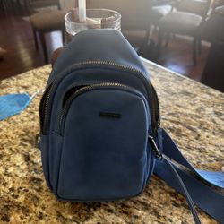 Purses- Stone Mountain, Rosetti And More