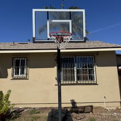 Lifetime 52” Basketball Hoop