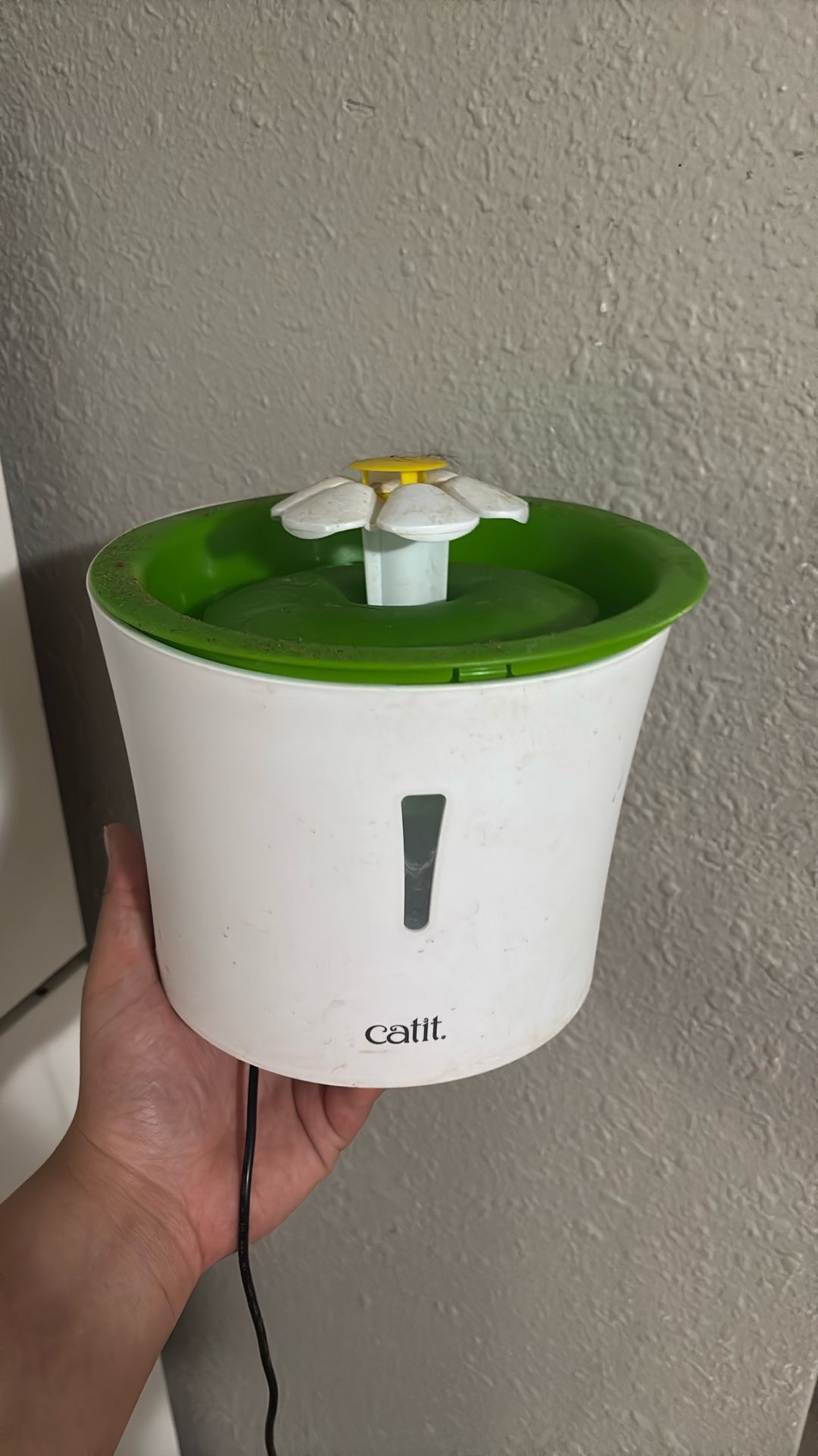Cat Water Fountain