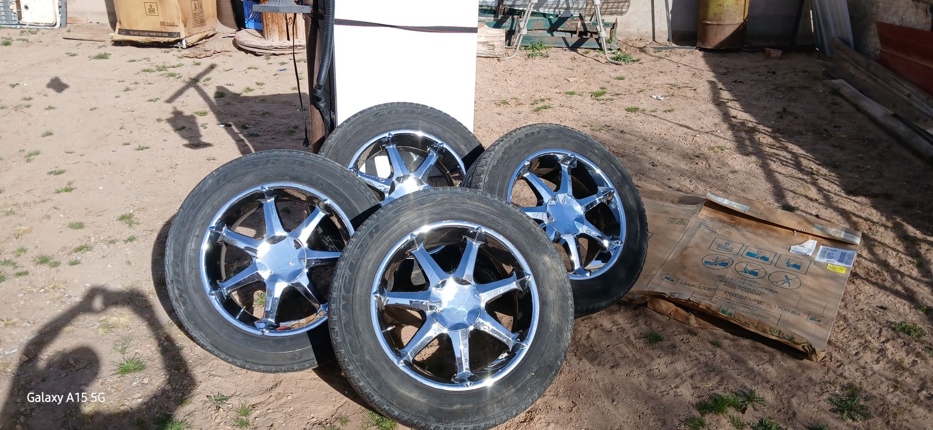 Rines 20"