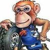 Monkey Tires