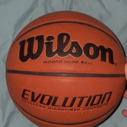 EVO Wilson indoor basketball 