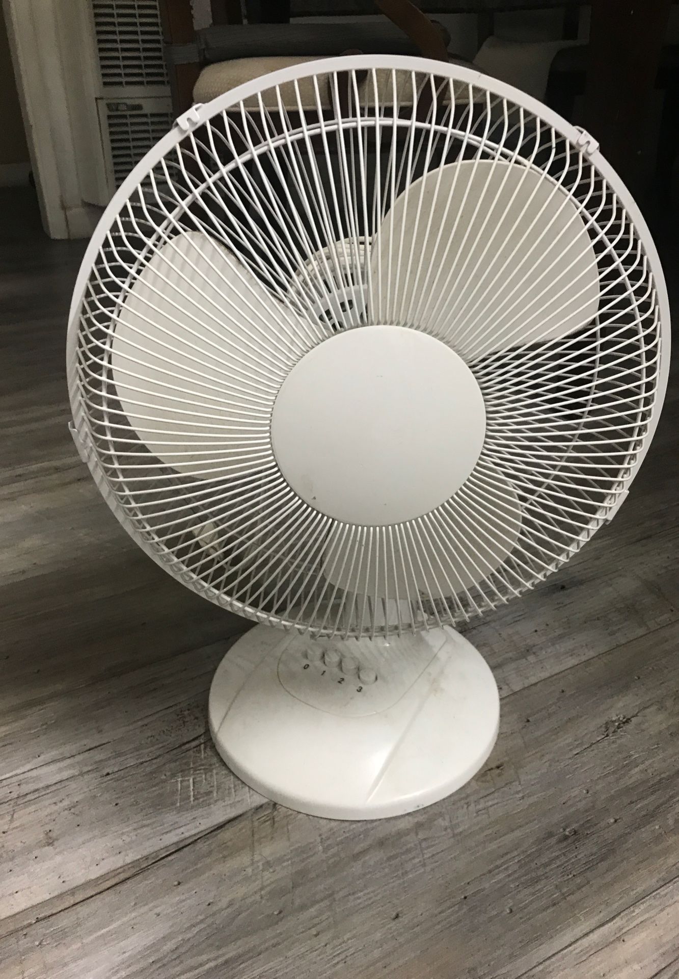 Fan