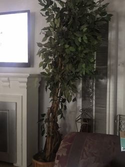 2 trees decor