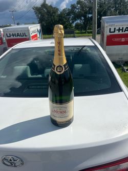 Vintage 19” display bottle Mumm champagne (capped empty )