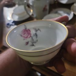 Haviland Limoges Tea Cup