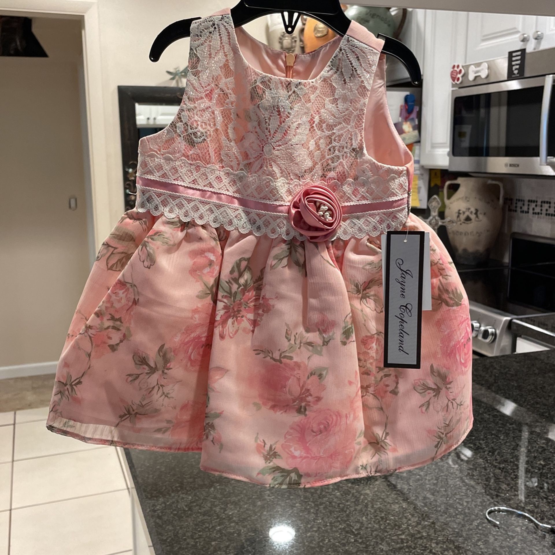 Beautiful Jayne Copeland Girl 24month 2 Piece Pink Floral Roses Dress  