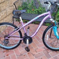 Schwinn Mountain Bike, 24"wheels, Runs Great, Little Surface Rust