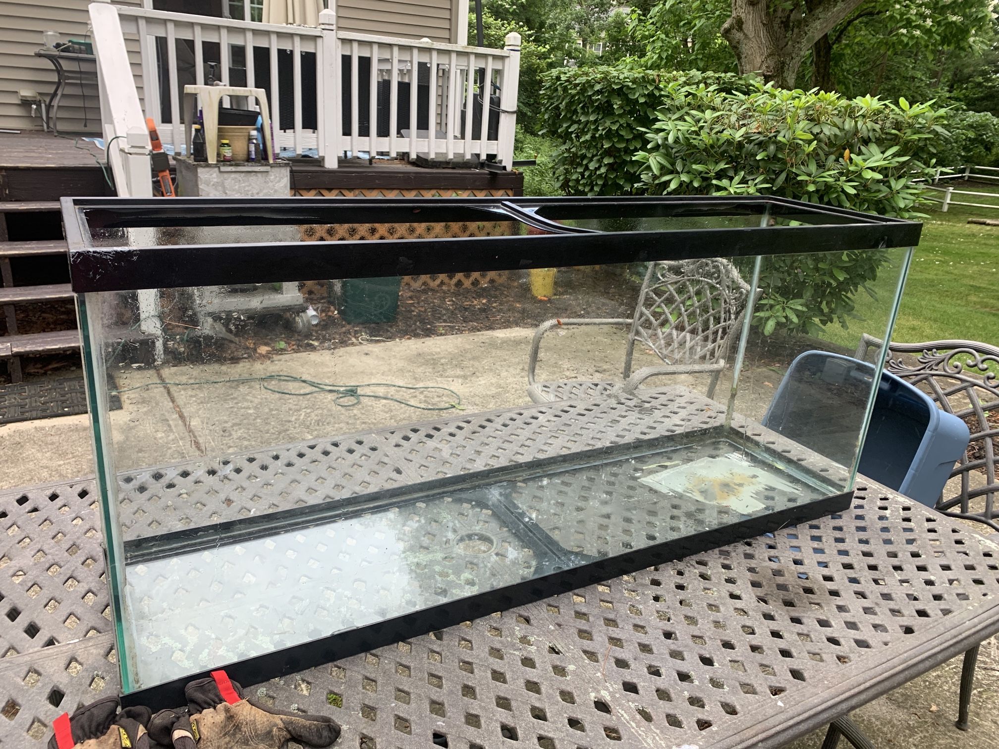 50+ Gallon Tank