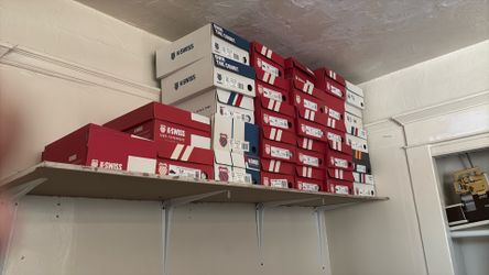 Palet shoes tenis