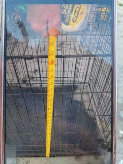 Jaula Para perro