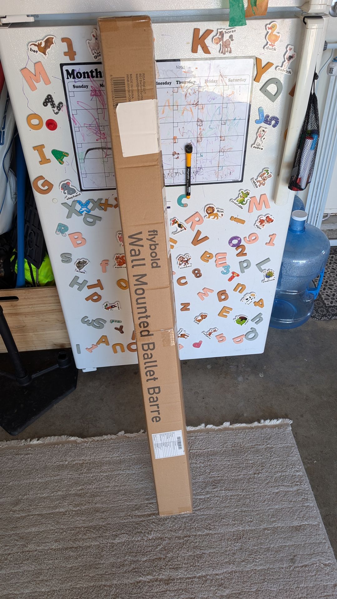 Flybold Wall Mounted Ballet Barre