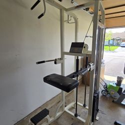 Life fitness assisted chin up and dip machine