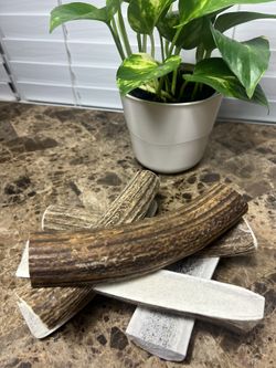 Elk Antler Dog Chews