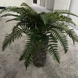 Faux Plant New