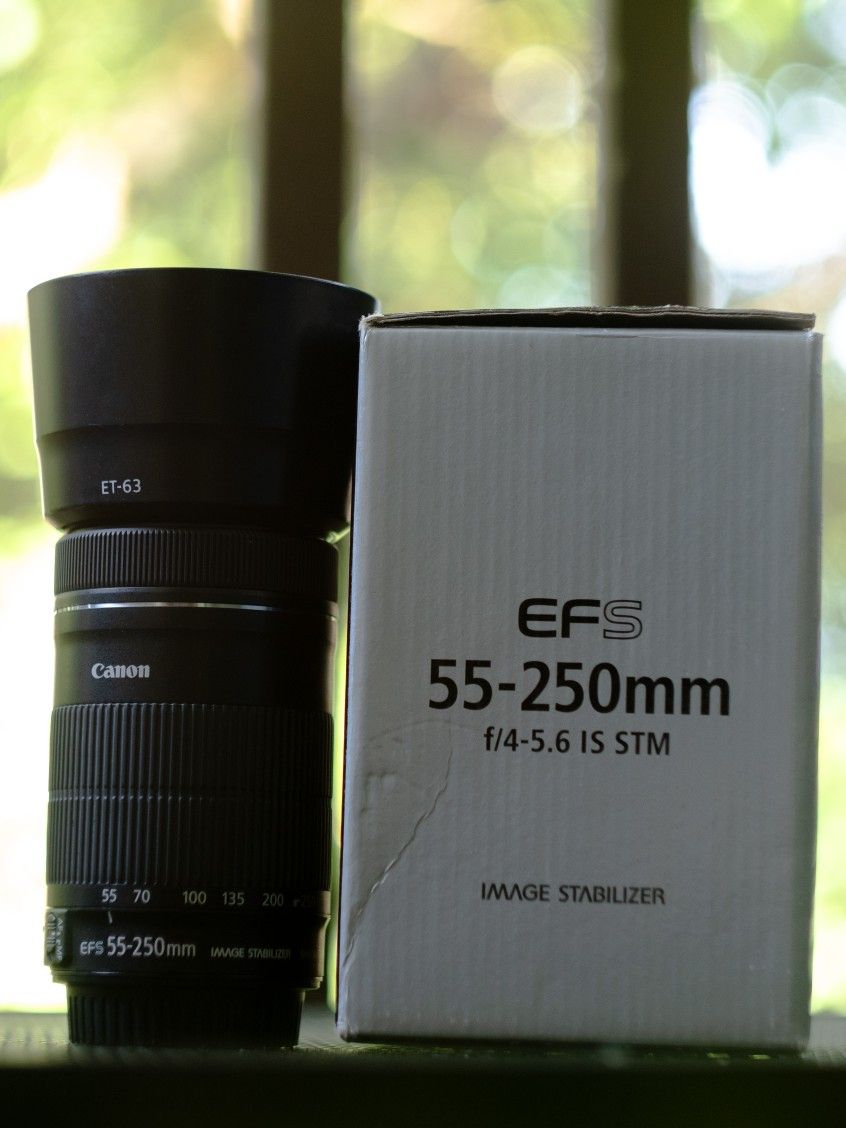 EF mount converted 55-250 IS STM w/ hood and box!