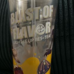 Insulated Plastic Tumbler 