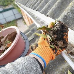 Gutter cleaning  and repairs