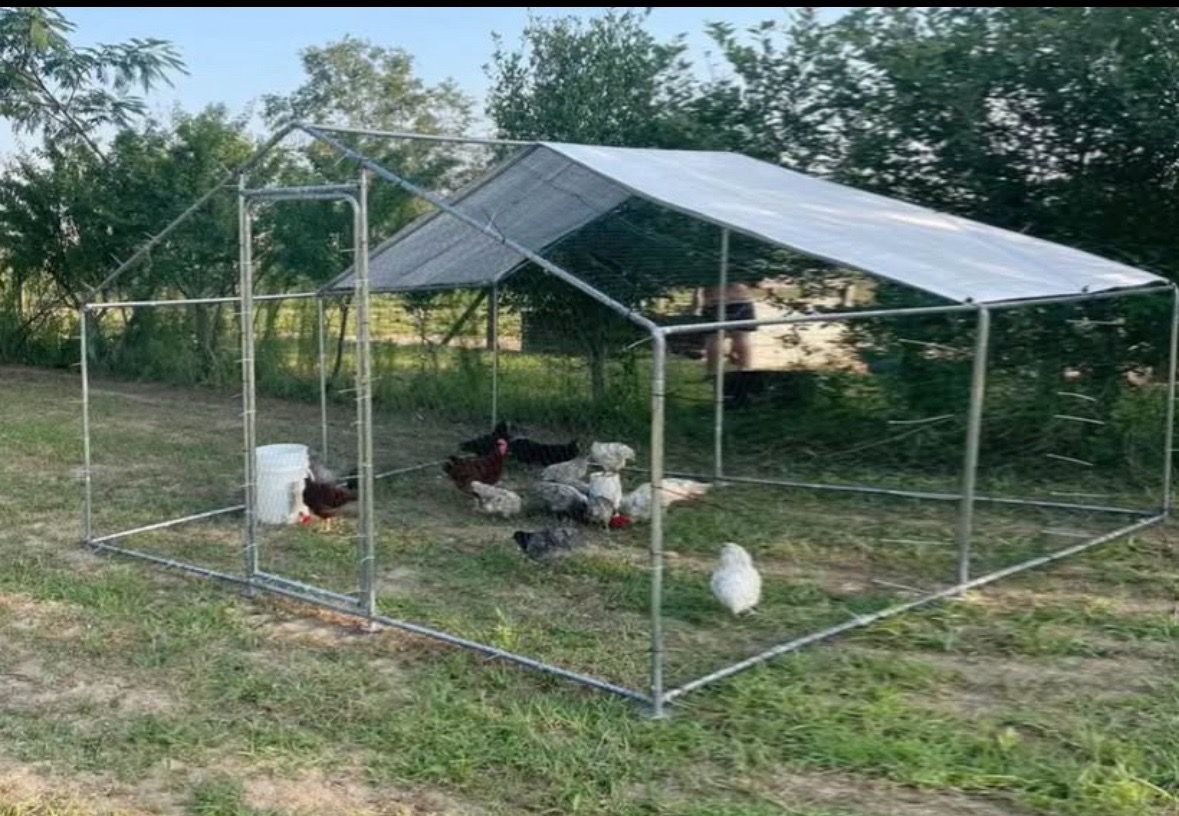 Brand new 2 style of chicken coop