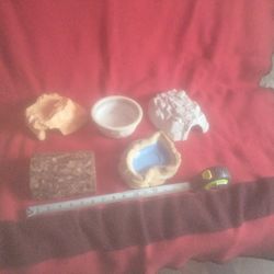 Critter Bowls And Hides