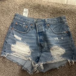 Woman’s Shorts 