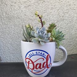 All Star Dad Coffee Mug With Succulent Plants .