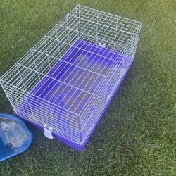 Purple Animal Cage 