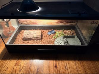 Leopard tortoise habitat