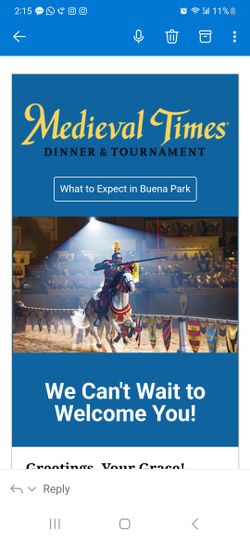 Medieval Times Show & Dinner