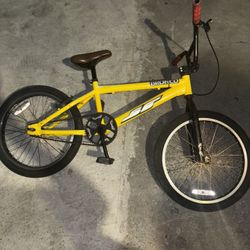 SE BMX 20 Inch Profesional Bike