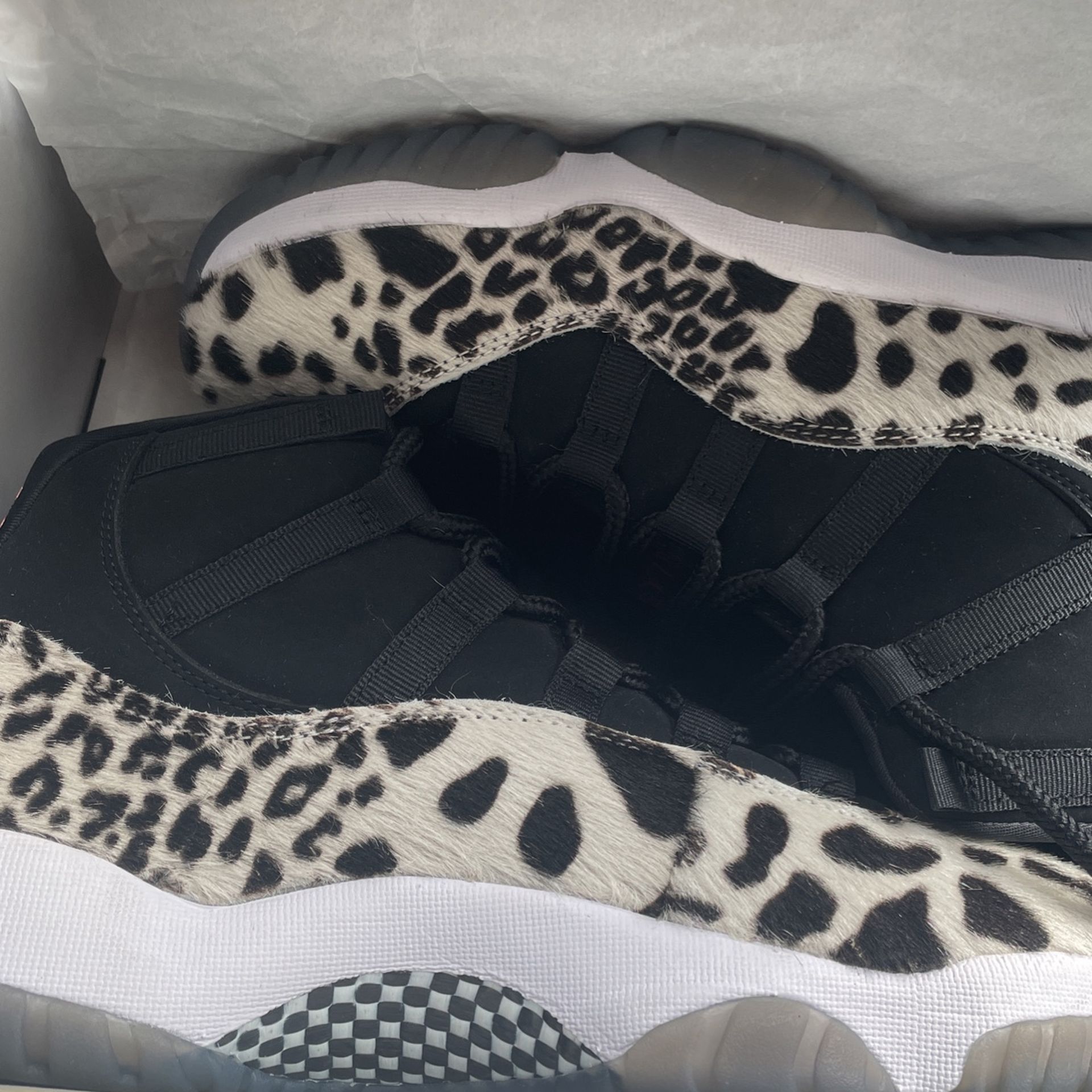 Animal Jordan 11