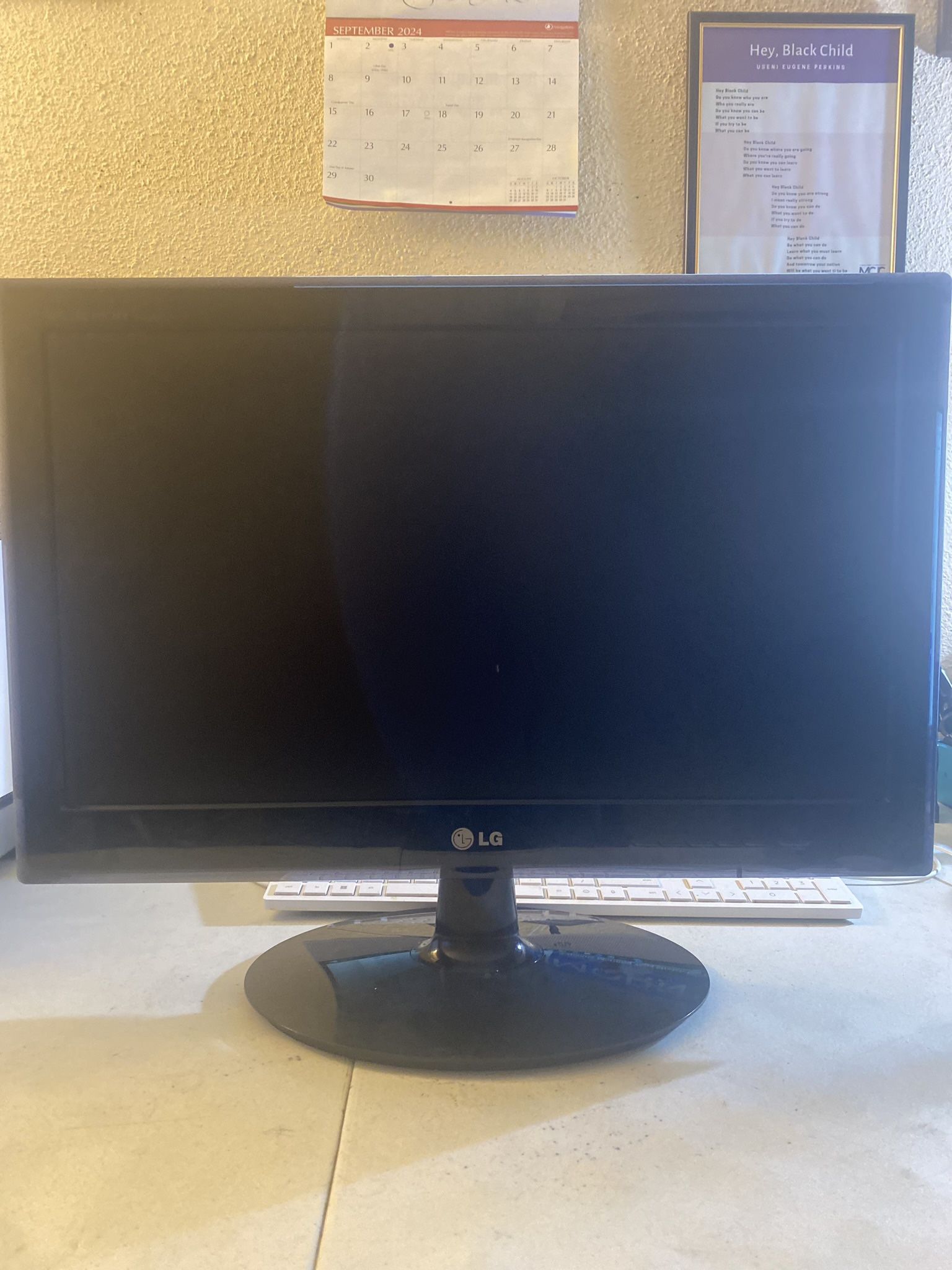 Lg Flatron W2040