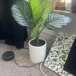 PLANT DECOR FOR $5!!! WAS $20!!