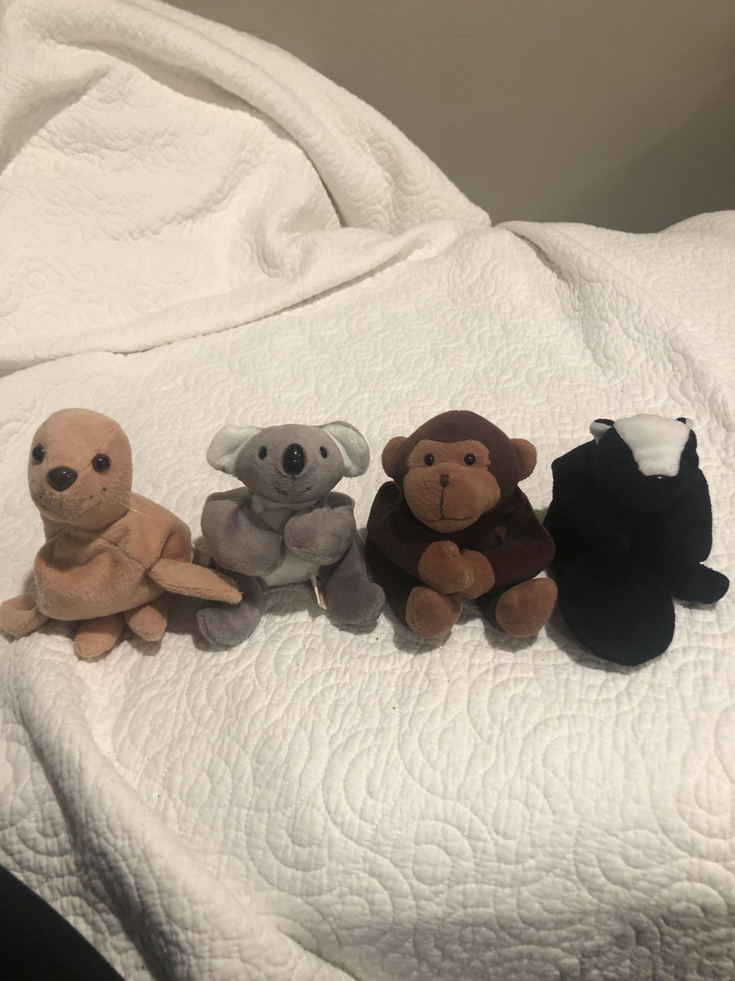 4 Wild Animal Babies