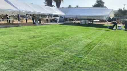!!!Artificial Grass!!!